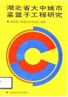 湖北省大中城市菜篮子工程研究 封面