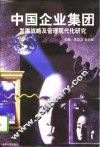 中国企业集团发展战略及管理现代化研究 封面
