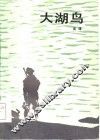 大湖鸟 封面