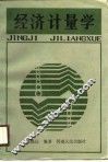 经济计量学 封面