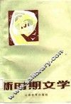 新时期文学 封面