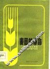 麦田的革命  闻喜东官庄旱地小麦高产稳产经验 封面