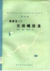 四川自贡大山铺中侏罗世恐龙动物群  第4集  蜥脚类  2  天府峨眉龙 封面