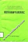 英汉针灸推拿气功常用词汇 封面