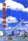 浦东财税问答 封面