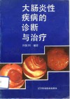 大肠炎性疾病的诊断与治疗 封面