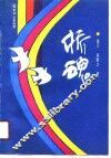 桥魂 封面