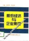 股份经济与企业集团 封面