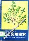 野菜实用技术 封面
