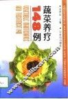 蔬菜养疗148例 封面