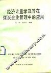 经济计量学及其在煤炭企业管理中的应用 封面