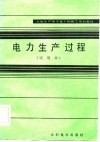 电力生产过程  试用本 封面