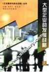 大型企业的发展战略  上 封面