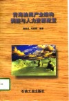青海油田产业结构调整与人力资源配置 封面