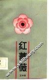 红蔷薇 封面