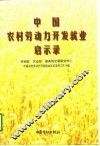 中国农村劳动力开发就业启示录 封面