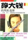 挣大钱的风险选择  炒股、炒汇、经营房地产和民间国际贸易 封面