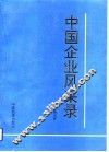 中国企业风采录 封面