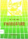 矿物药的沿革与演变 封面
