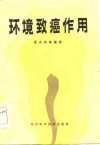 环境致癌作用 封面