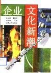 企业文化新潮 封面