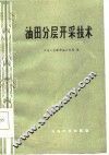 油田分层开采技术 封面