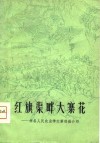 红旗渠畔大寨花  林县人民农业学大寨经验介绍 封面