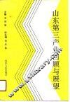 山东第三产业回顾与展望 封面