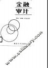 金融审计 封面