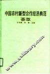 中国农村新型合作经济典范荟萃 封面