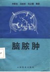 脑脓肿 封面
