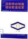沈阳劳动制度综合配套改革  上 封面