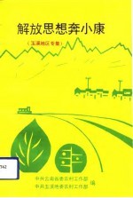 解放思想奔小康  玉溪地区专辑 封面