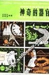 神奇的器官 封面