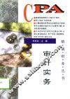审计实务 封面