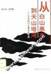 从白山黑水到天山塔河  东北抗日义勇军在新疆 封面