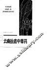 云南抗癌中草药 封面