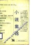 小说集锦 封面