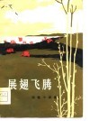 展翅飞腾  短篇小说集 封面