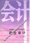 商业审计 封面
