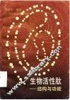 生物活性肽  结构与功能 封面