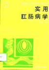 实用肛肠病学 封面