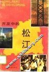开发中的松江 封面