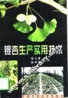 银杏生产实用技术 封面