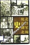 北洋军阀统治湖北史 封面