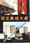 河北商场大观 封面