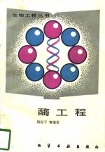 酶工程 封面