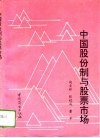 中国股份制与股票市场 封面