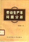 劳动生产率问题分析 封面