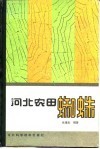 河北农田蜘蛛 封面